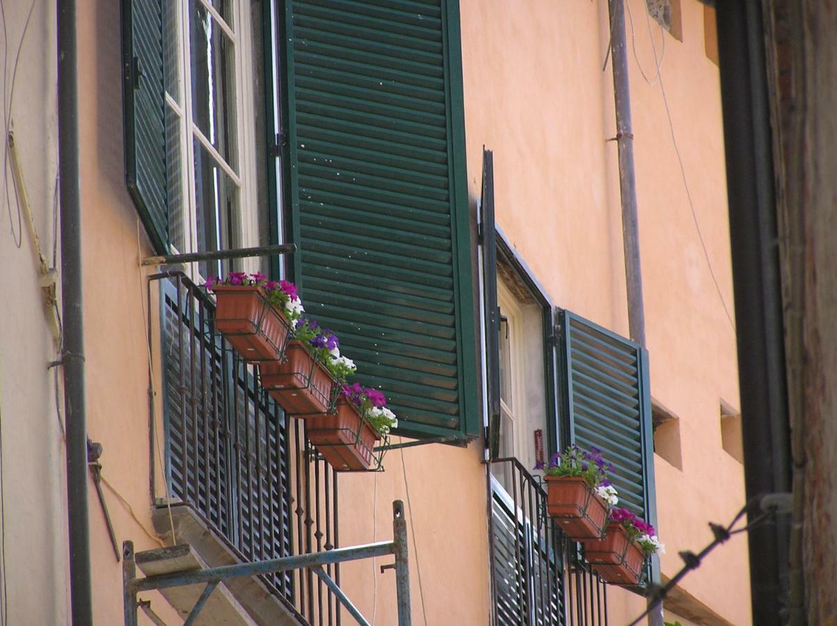 Residenza Al Fillungo Apartment *